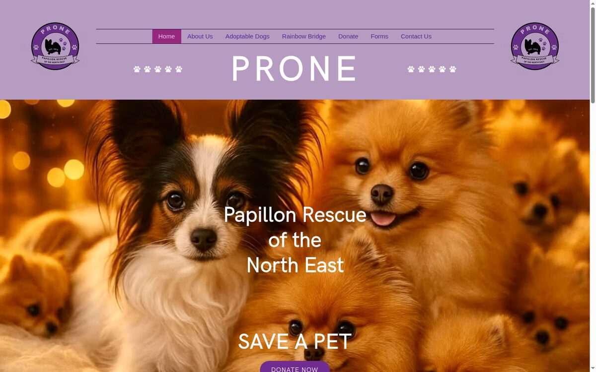 PRONE Papillon Rescue website designed by TEP Creative