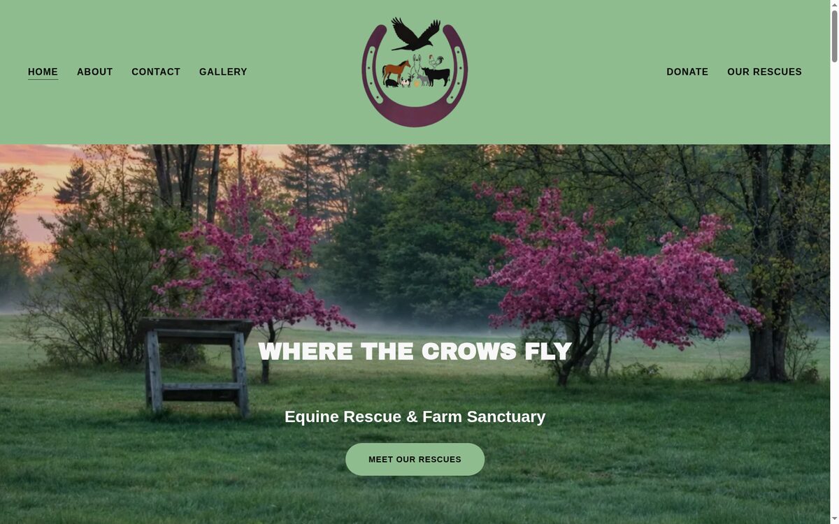 Where The Crows Fly website designed by TEP Creative